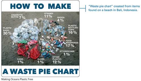 An illustration is labeled How to make a waste pie chart.