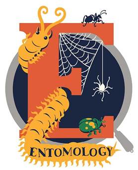 Illustrator of Entomology