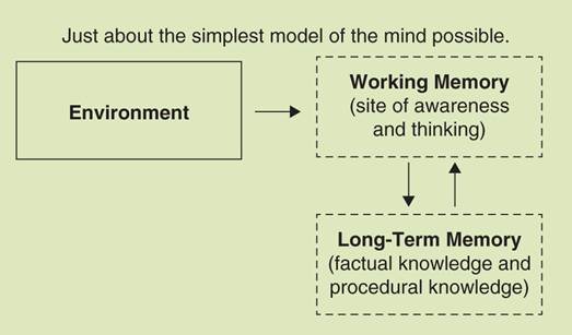 Schematic illustration of a simple model of the structure of human cognition.